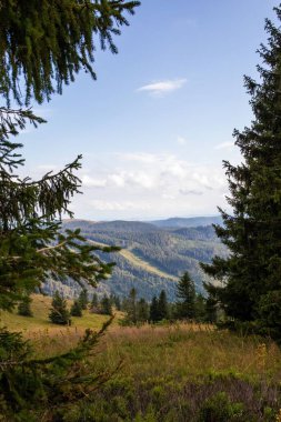 Gündüz vakti ağaçlarla kaplı dağların manzarası