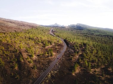 Otlar ve açık gökyüzü arasında asfalt bir yolun havadan çekilmiş görüntüsü.