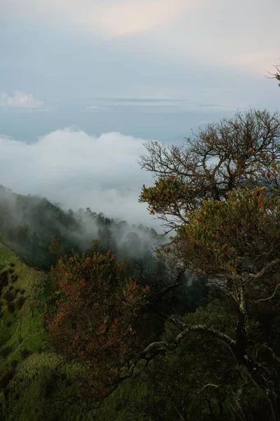 Brouillard Couvrant Les Montagnes Lever Soleil Lever Soleil Sur Les — Photo