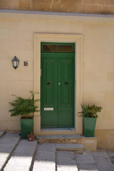 一座用盆栽装饰的老房子的绿色门上的风景 — 图库照片