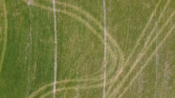 Αεροφωτογραφία Ενός Πράσινου Πεδίου Κατά Διάρκεια Της Ημέρας — Φωτογραφία Αρχείου