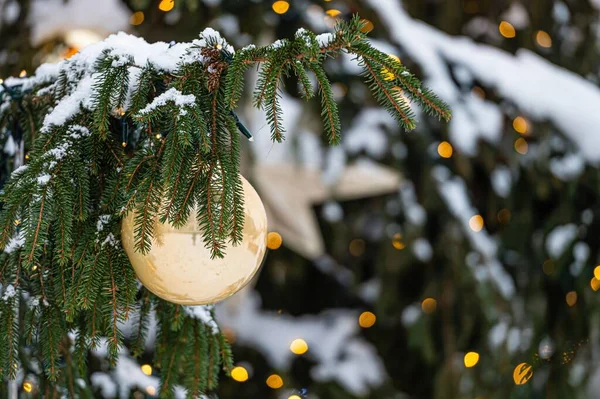 Gros Plan Une Boule Sur Sapin Noël Enneigé — Photo