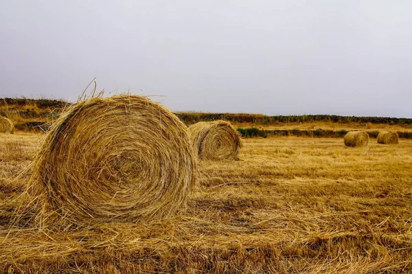 Hay Bale Primeiro Plano Campo Rural — Fotografia de Stock