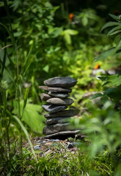森林里一堆岩石的特写镜头 — 图库照片