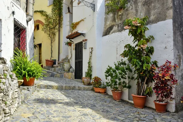 Una Bella Foto Una Stretta Strada Tra Vecchie Case Nel — Foto Stock