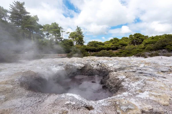 Gyönyörű Táj Sziklák Erdők Waiotapu North Island Zéland — Stock Fotó