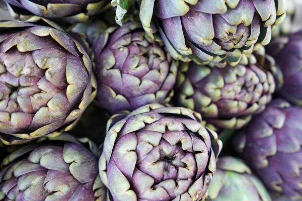 Eine Nahaufnahme Lila Artischockenblumen Cynara — Stockfoto