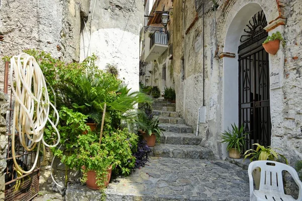 Прекрасна Вузька Вулиця Між Старими Будинками Селі Скала Калабрія Італія — стокове фото