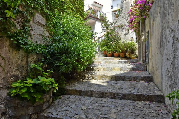 A beautiful shot of a narrow street between old houses in Scalea village, the Calabria region, Italy