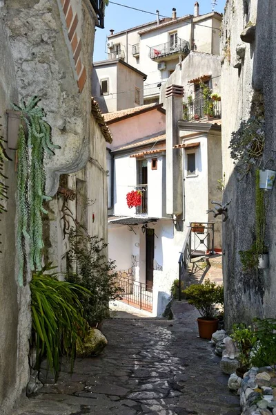 Tiro Vertical Rua Estreita Entre Casas Antigas Aldeia Orsomarso Região — Fotografia de Stock