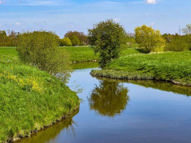 Yeşil bitki örtüsüyle çevrili bir nehir ile yaz manzarası.