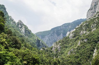 Olimpos Dağı 'nın doğu yamaçlarında bulutlu bir günde bitki örtülü kanyonlar manzarası.
