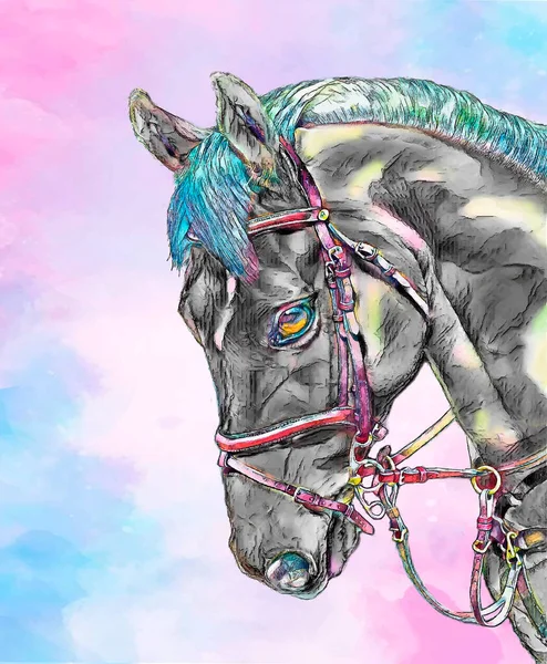 Retrato Ilustrativo Cavalo Cinza Colorido Sobre Fundo Branco — Fotografia de Stock