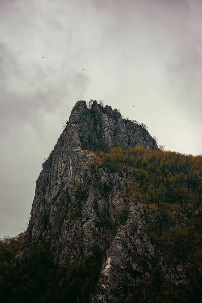 Paesaggio Verticale Montagna Rocciosa Circondata Alberi Durante Autunno — Foto Stock