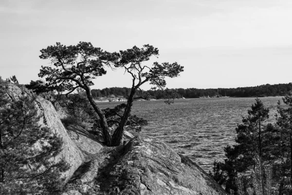 Grayscale Shot Beautiful Ocean Scandinavia — Stock Photo, Image