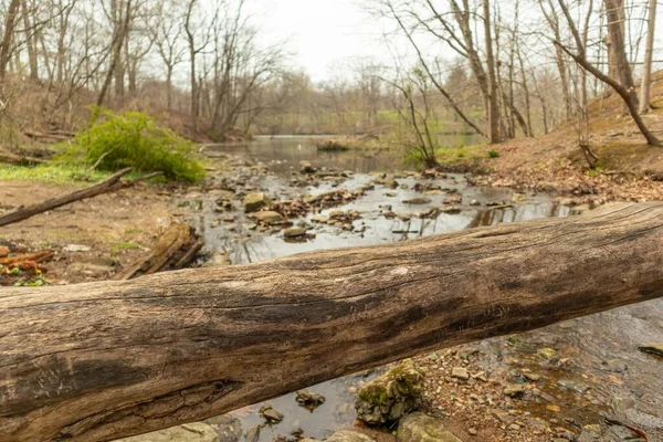 Rzeka Przepływająca Przez Skały Pokryte Mchem Opadłymi Kłodami Drzew Lesie — Zdjęcie stockowe