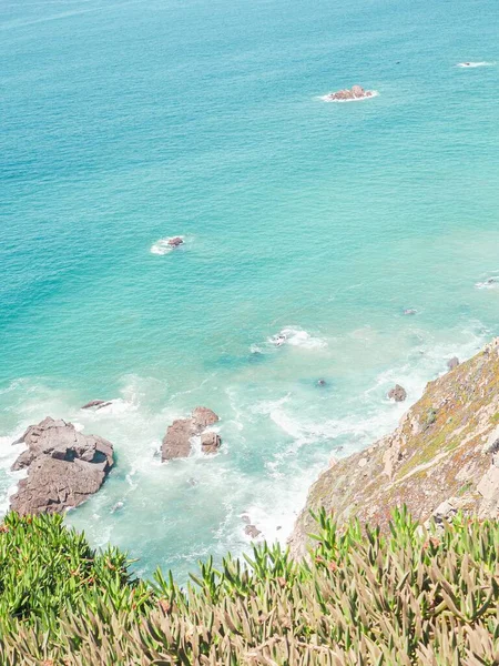 High Angle Shot Green Shrubs Growing Cliffs Sea Sunny Day — Stock Photo, Image