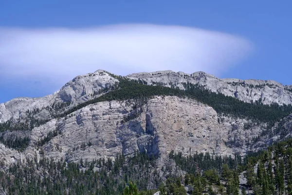曇り空の下 緑の松林に覆われた岩山の絶景 — ストック写真