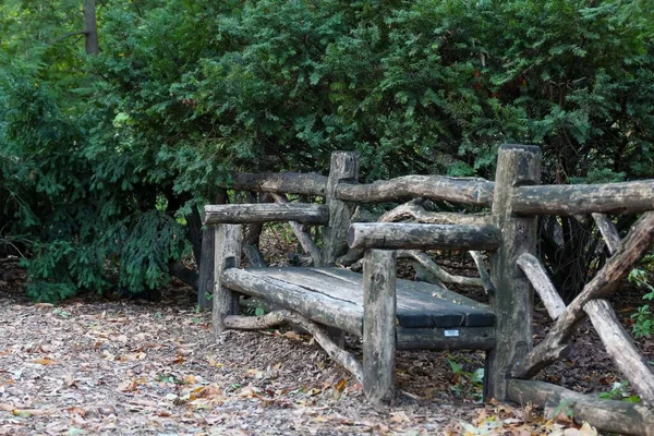 一张漂亮的手工制作的木制发牢骚长椅在绿树和灌木上的照片 — 图库照片