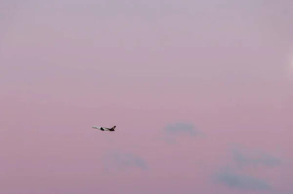 Widok Samolotu Latającego Różowym Niebie Everett Waszyngton Stany Zjednoczone — Zdjęcie stockowe