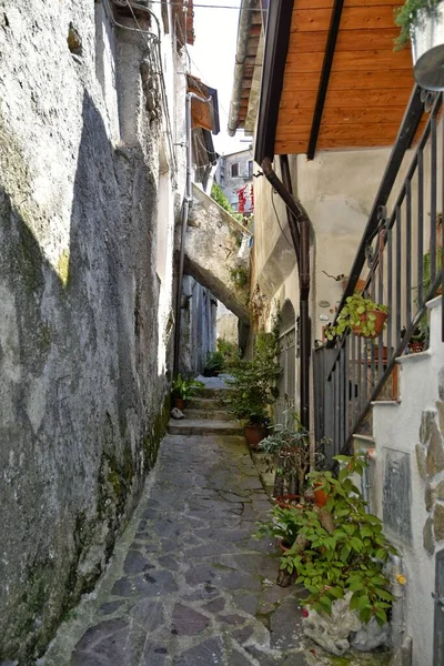 Colpo Verticale Stretta Strada Del Centro Storico Orsomarso Regione Calabria — Foto Stock
