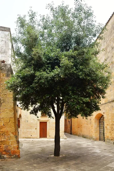 Street Historic Center Tricase Medieval Town Puglia Region Italy — Zdjęcie stockowe