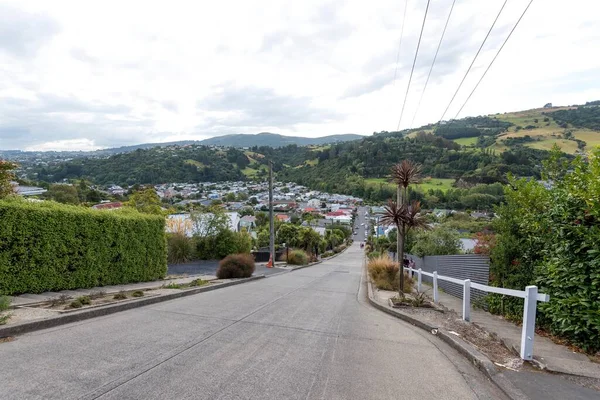 Dlouhá Cesta Městě Dunedin Jižní Ostrov Nový Zéland — Stock fotografie