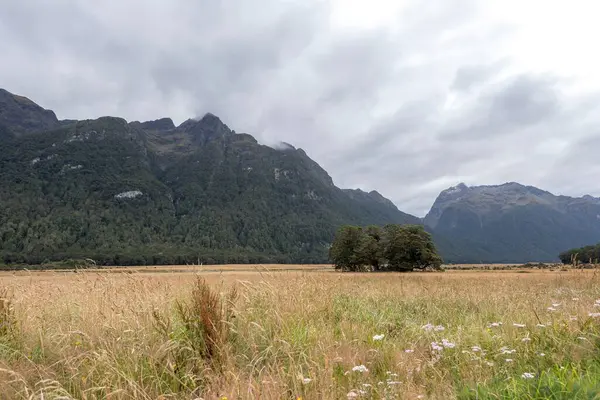 Een Prachtig Shot Van Eglinton Valley South Island Nieuw Zeeland — Stockfoto