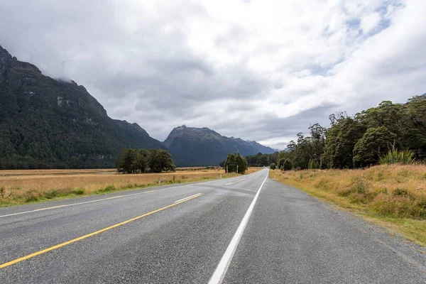 Красивый Снимок Долины Феллинтон Южном Острове Новая Зеландия — стоковое фото