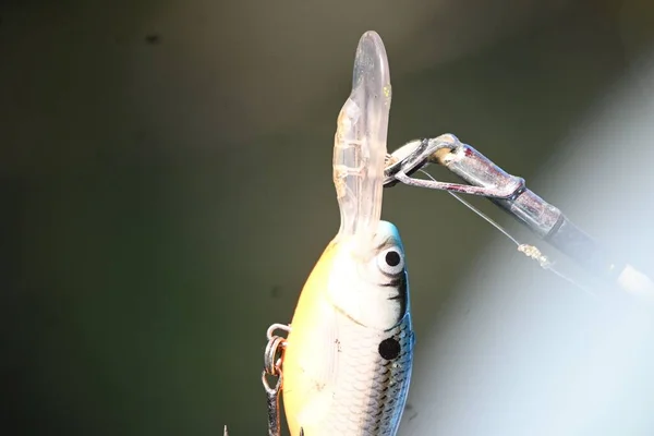 Fisher Köder Über Einem Fluss — Stockfoto