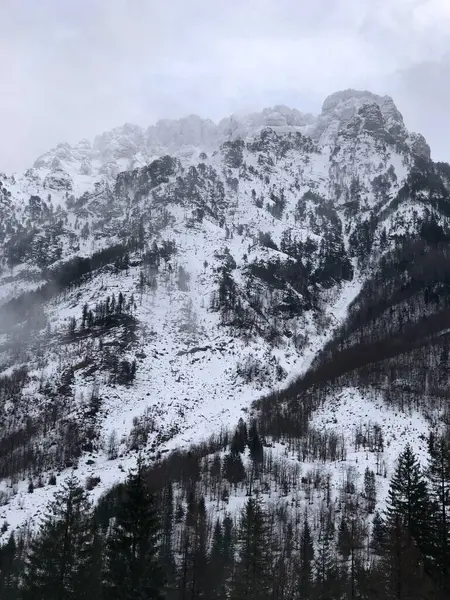 Een Verticaal Shot Van Een Piek Van Een Besneeuwde Berg — Stockfoto