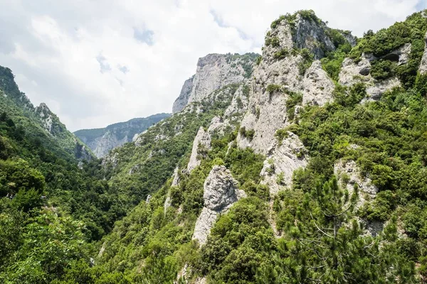 在阳光灿烂的日子里 位于奥林匹斯山东坡上 是一片植物覆盖的峡谷 — 图库照片