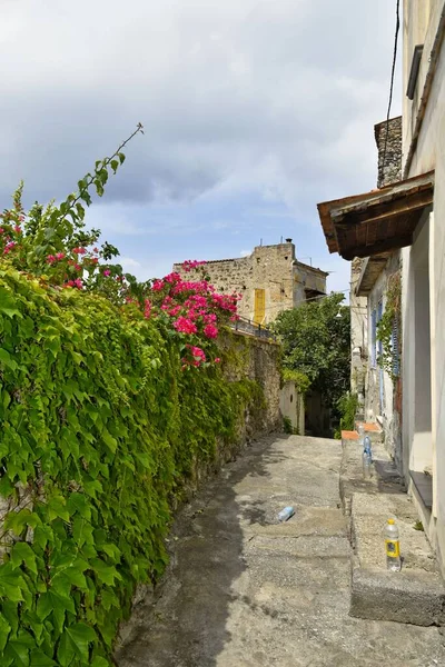 Uma Rua Estreita Uma Antiga Aldeia Região Calábria Itália — Fotografia de Stock