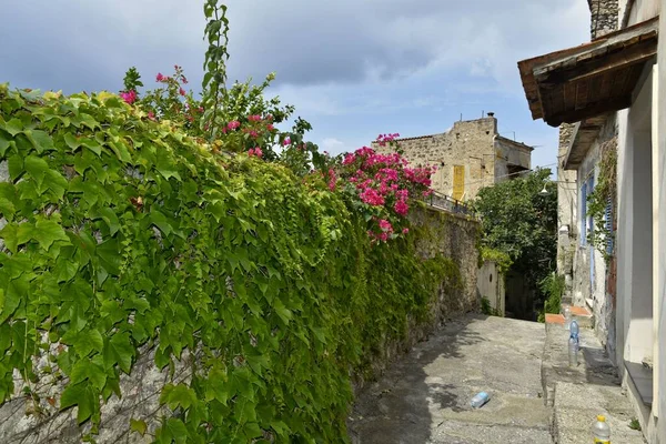 Een Smalle Straat Van Een Oud Dorp Regio Calabrië Italië — Stockfoto