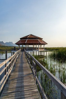 Sam Roi Yot, Tayland 'daki Bueng Bua Tahta Köprüsü' nde dikey çekim.