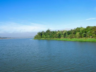 Güneşli bir günde mavi gökyüzünün altında güzel bir göl manzarası ve bir orman.