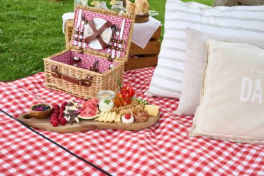 Yastıklı ve aperatifli güzel bir piknik battaniyesi.