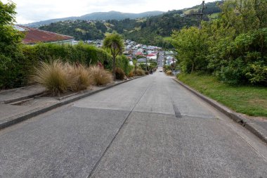 Dunedin şehrinde uzun bir yol, Güney Adası, Yeni Zelanda