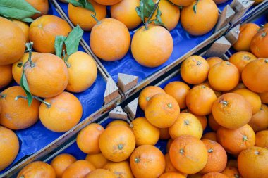 Kutulardaki portakal ve mandalinaların en iyi görüntüsü.