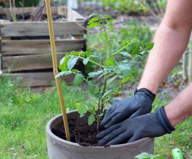 Siyah eldivenli insan ellerinin fabrikaya yerleştirildiği yakın çekim.
