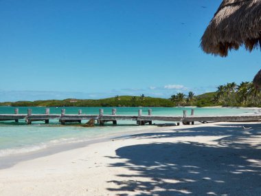 Boş bir sahilde, ağaçlı ve ufukta ağaçlık bir tepe olan ahşap bir iskele.