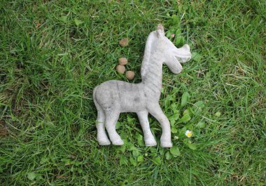 Köpeğim beslemek için oyuncağının yanına yemek bırakıyor.
