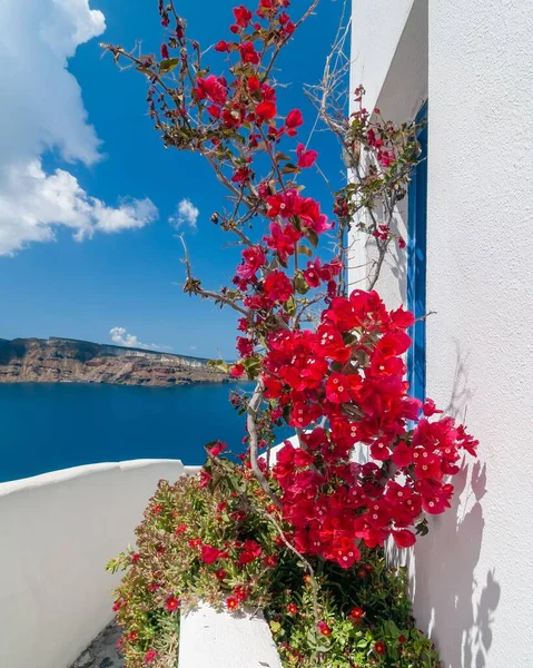 Ett Hus Med Utsikt Över Havet Santorini Grekland — Stockfoto