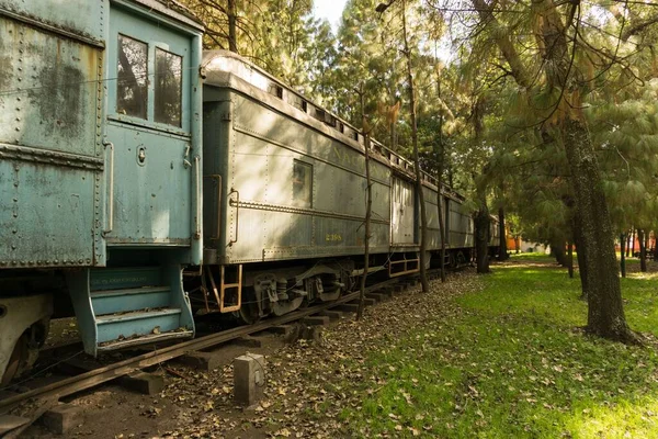 松树下公园里一辆生锈的旧火车的风景 — 图库照片