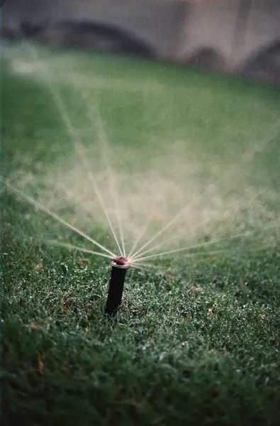 Een Verticaal Schot Van Een Automatische Gazon Sprinkler Water Geven — Stockfoto