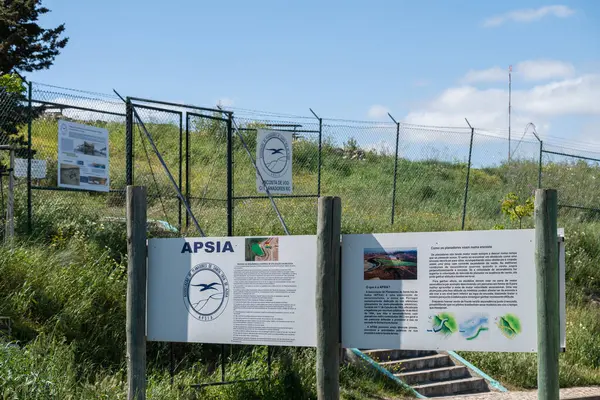 Die Apsia Association Gliders Santa Iria Azoia Und Eine Vereinigung — Stockfoto