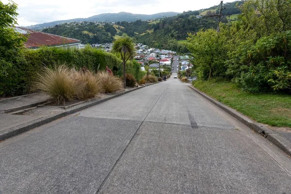 Dlouhá Cesta Městě Dunedin Jižní Ostrov Nový Zéland — Stock fotografie
