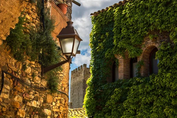 西班牙托莱多Palacio Galiana外墙上的一个古老的灯笼和植物 — 图库照片
