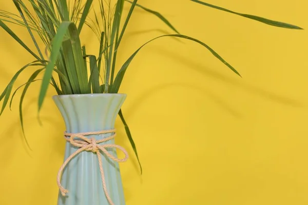 Vaso Azul Pastel Com Grama Fundo Amarelo Vibrante Com Copyspace — Fotografia de Stock