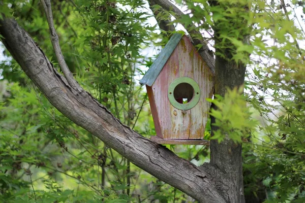 Cozy Wooden Birdhouse Mounted Tree — Stock Photo, Image